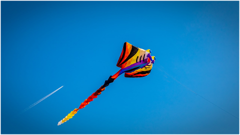 dragons-kite-flying-sky-blue-4512638