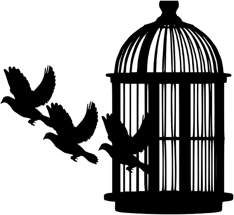 bird-cage-silhouette-escape-3879179