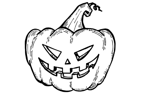 halloween-pumpkin-autumn-4451918