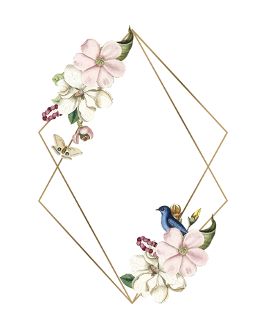 frame-floral-flower-frame-frame-4452579