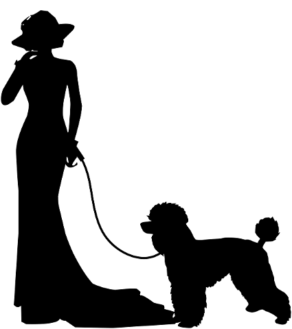 poodle-woman-silhouette-dog-animal-4251531