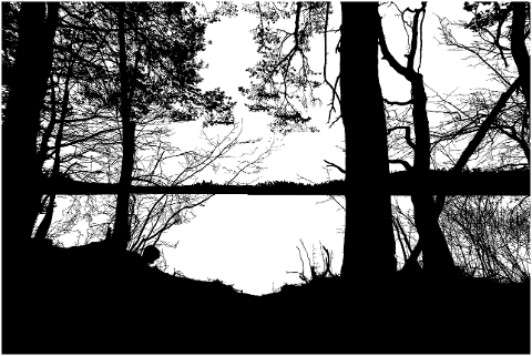 forest-trees-lake-tree-branches-4126145
