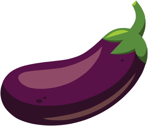 eggplant-plant-vegetable-fruit-4977808