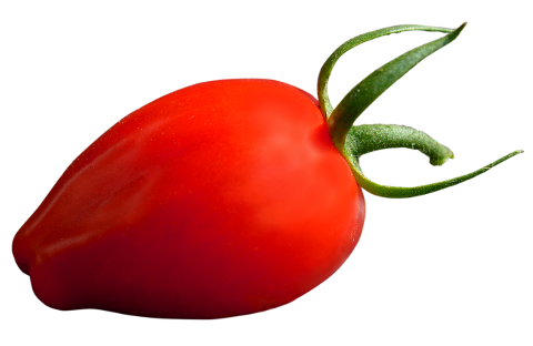 tomato-red-vegetables-isolated-4568754