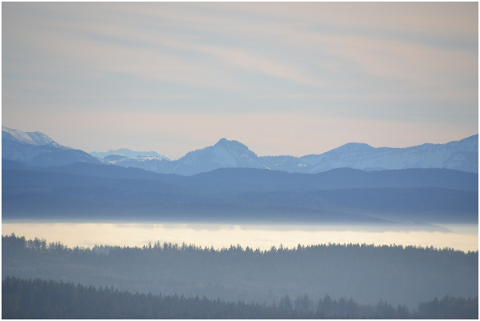 forest-mountains-sky-landscape-4772481