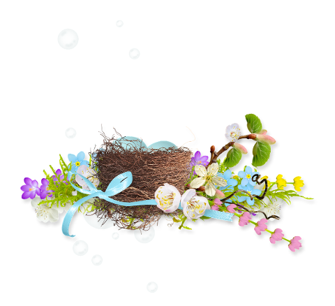 spring-flowers-jack-eggs-nature-4974493