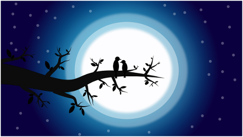 romantic-night-birds-love-moon-5113939