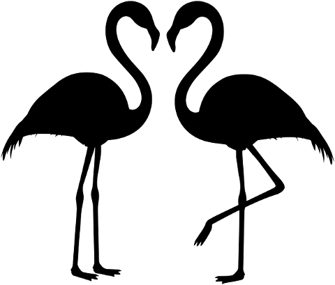 flamingo-couple-silhouette-flamingos-4301281