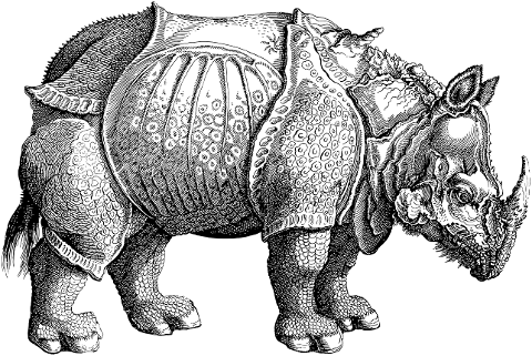 rhino-rhinoceros-vintage-line-art-4174468