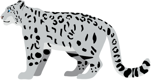 snow-leopard-leopard-wildcat-cat-5543396