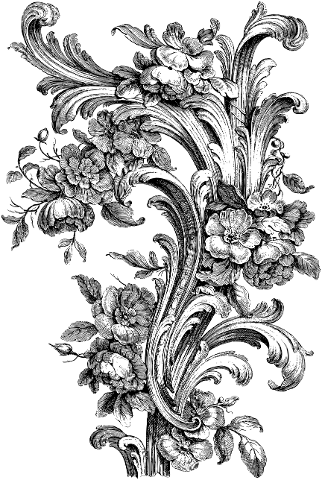 vintage-floral-line-art-flourish-4400430