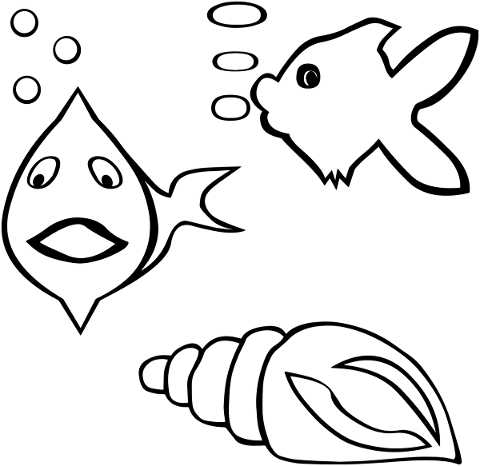 fish-shell-sea-treasure-gold-carp-5464564