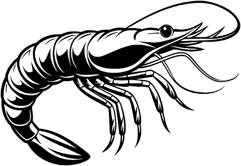 ai-generated-shrimp-crustacean-8863807