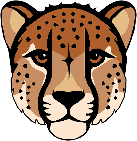 cheetah-cat-head-feline-fur-face-9137904