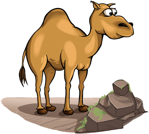 camel-desert-arab-cartoon-7743310