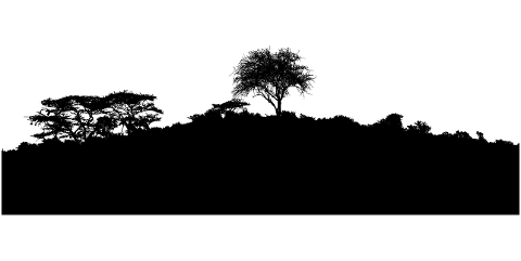 trees-landscape-silhouette-africa-4472623