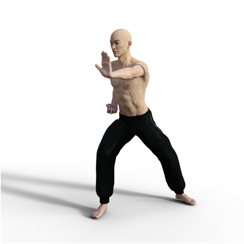 kung-fu-pose-fighter-wushu-action-4938650