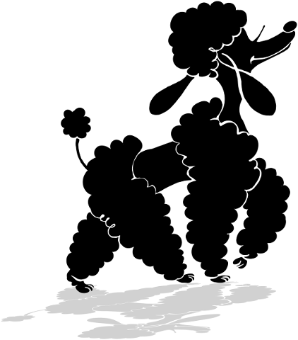 poodle-silhouette-dog-puppy-poodle-4940051