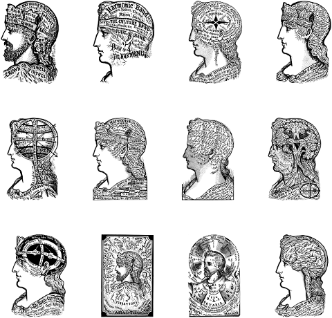 physiognomy-phrenology-head-vintage-4303445