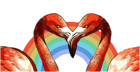 flamingo-rainbow-love-colorful-4133649