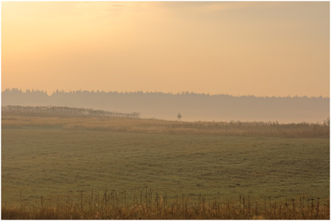 morning-silence-dawn-sun-fog-5093663