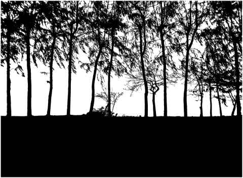 trees-landscape-silhouette-forest-4835131