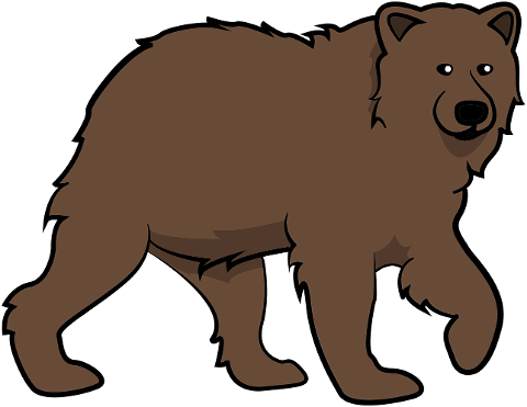 bear-dangerous-brown-bear-predator-7846264