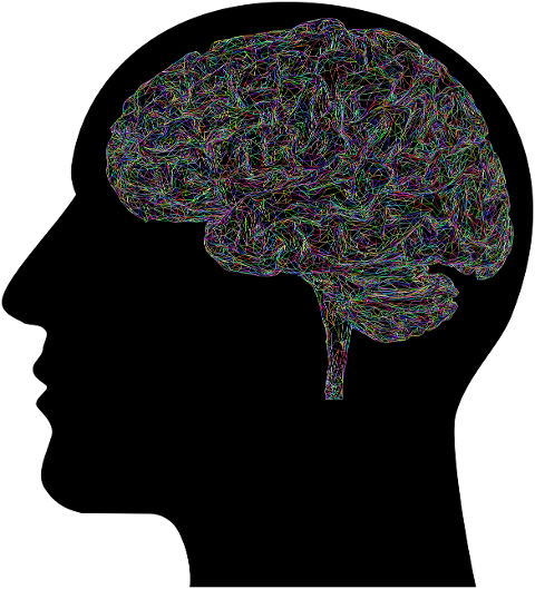 brain-man-mind-head-avatar-8613181
