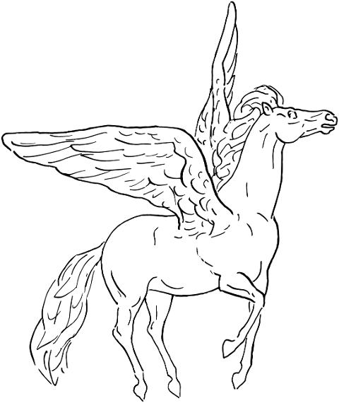 pegasus-horse-wings-animal-7912341