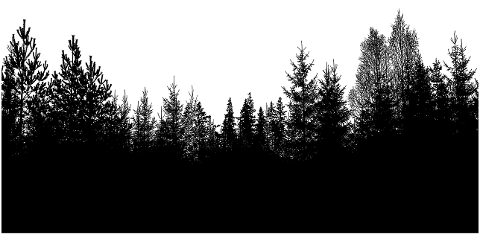 trees-forest-silhouette-branches-6863878