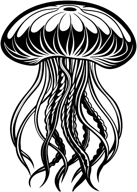 jellyfish-tentacles-animal-aquatic-8853368
