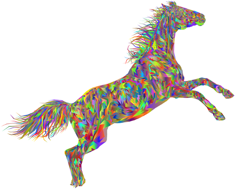 horse-animal-equine-equestrian-6520681