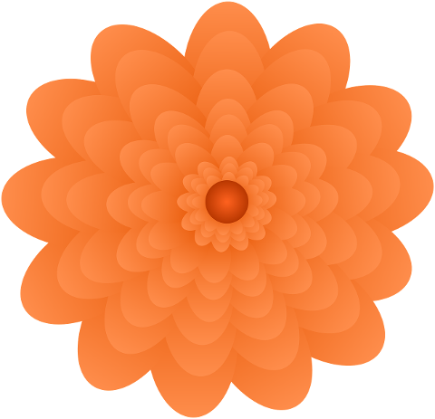 flower-flora-floral-nature-design-9805108