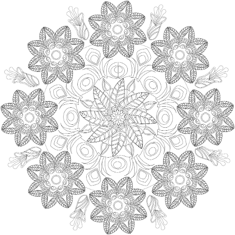 mandala-beautiful-flowers-8077980