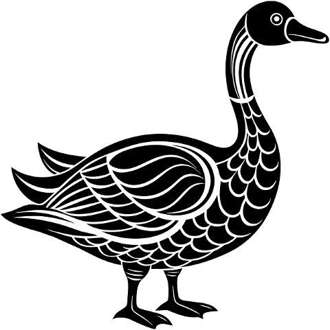 goose-bird-animal-ornithology-8799267