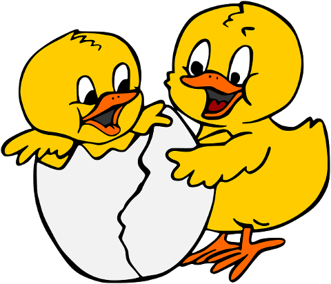 easter-hen-chick-egg-shell-6122842