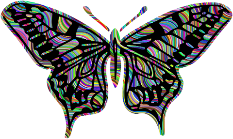 butterfly-insect-art-wings-7656786