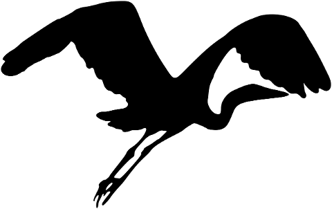 birds-animals-silhouette-7492319