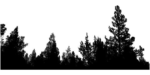 forest-trees-landscape-silhouette-8669663