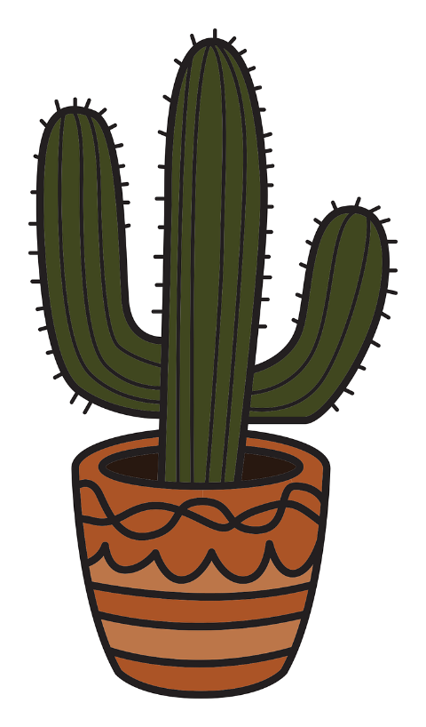 cactus-succulent-plant-green-9440706