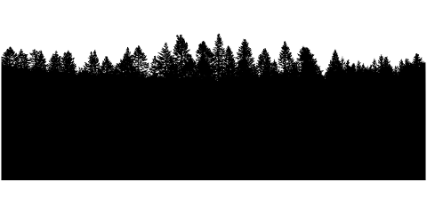 forest-trees-landscape-silhouette-7203097