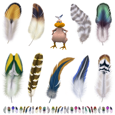 feathers-colorful-decorative-6241668