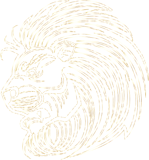 lion-animal-feline-big-cat-head-8197272