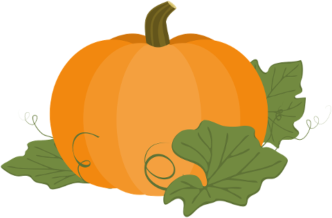 pumpkin-autumn-leaves-sketch-10494343