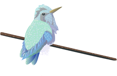 hummingbird-bird-cartoon-animal-7077646