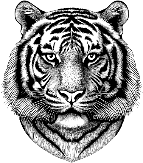 ai-generated-tiger-animal-feline-8753628