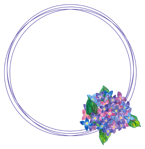 hydrangea-frame-flowers-nature-8487543