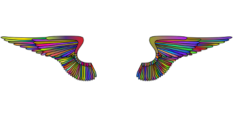 wings-feathers-flying-bird-angel-8103088