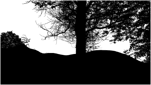 forest-silhouette-trees-landscape-6810506