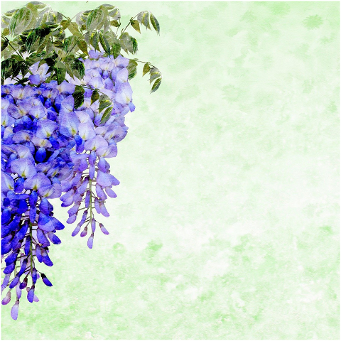 digital-paper-flowers-watercolor-6144008